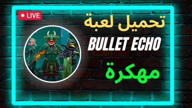تحميل لعبة Bullet Echo