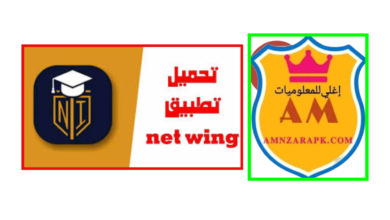 تحميل تطبيق netwing