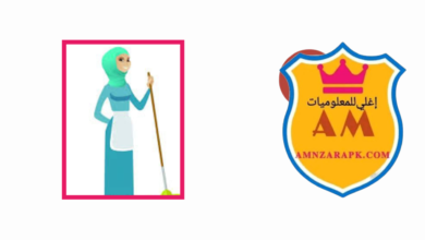 تطبيق عاملات منزلية