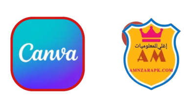 تطبيق كانفا Canva Apk
