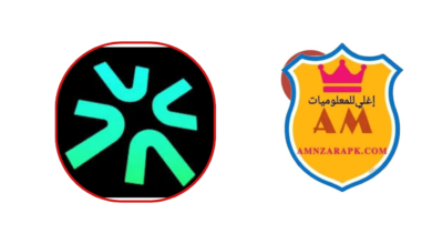 TikTok Notes